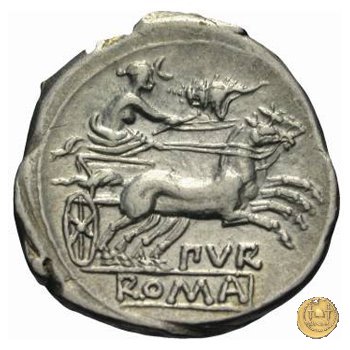 187/1 - denario Furius Purpureo 169-158 BC (Roma)