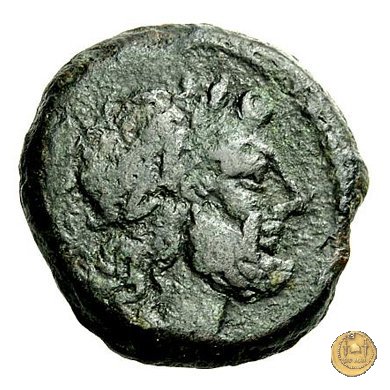 196/2 - semisse 169-158 BC (Roma)