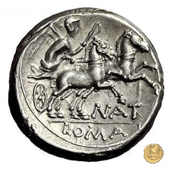 200/1 - denario Pinarius Natta 155 BC (Roma)