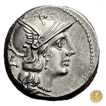 200/1 - denario Pinarius Natta 155 BC (Roma)