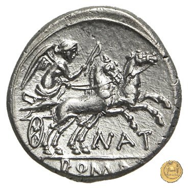 200/1 - denario Pinarius Natta 155 a.C. (Roma)