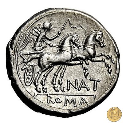 200/1 - denario Pinarius Natta 155 BC (Roma)