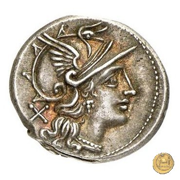 200/1 - denario Pinarius Natta 155 BC (Roma)