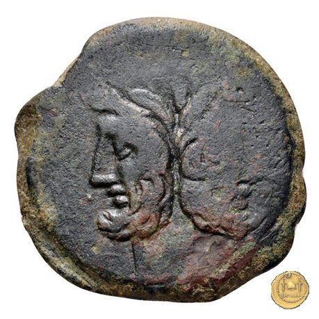 200/2 - asse Pinarius Natta 155 BC (Roma)