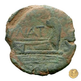 200/3 - semisse Pinarius Natta 155 BC (Roma)