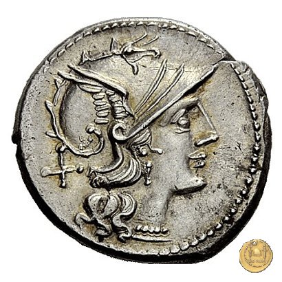 201/1 - denario C. Scribonius 154 BC (Roma)