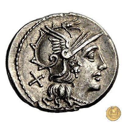 202/1 - denario C. Iuventius Thalna 154 BC (Roma)