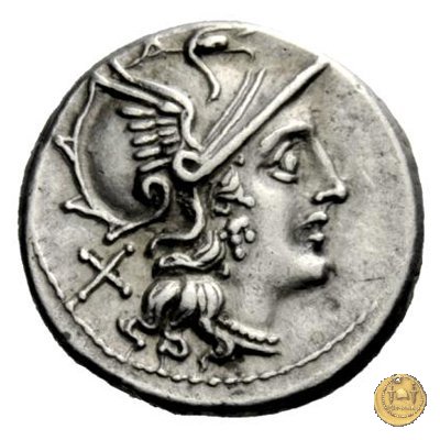 202/1 - denario C. Iuventius Thalna 154 BC (Roma)