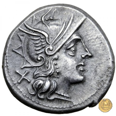 202/1 - denario C. Iuventius Thalna 154 BC (Roma)