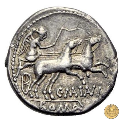 203/1 - denario C. Maianius 153 BC (Roma)