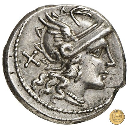 203/1 - denario C. Maianius 153 BC (Roma)