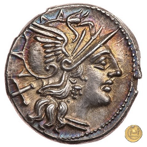 204/1 - denario L. Saufeius 152 BC (Roma)