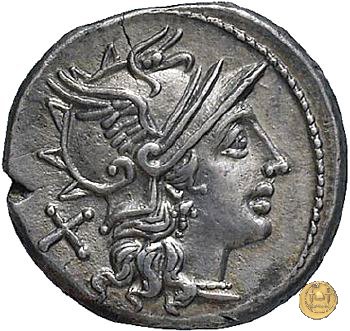 206/1 - denario Spurius Afranius 150 BC (Roma)