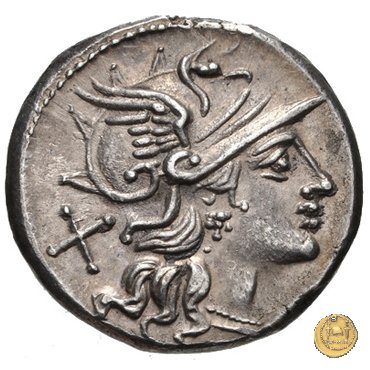 206/1 - denario Spurius Afranius 150 BC (Roma)