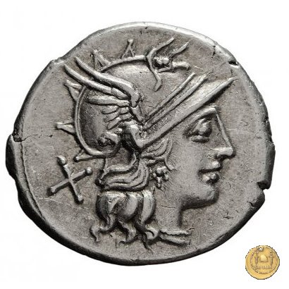 206/1 - denario Spurius Afranius 150 BC (Roma)