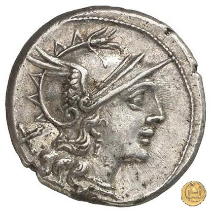 206/1 - denario Spurius Afranius 150 BC (Roma)