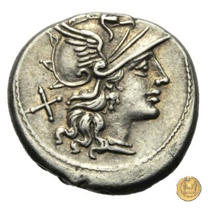 206/1 - denario Spurius Afranius 150 BC (Roma)