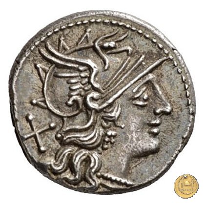 206/1 - denario Spurius Afranius 150 BC (Roma)