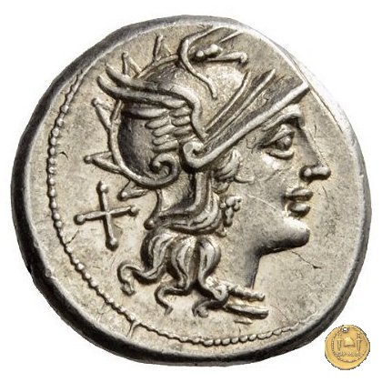 206/1 - denario Spurius Afranius 150 BC (Roma)