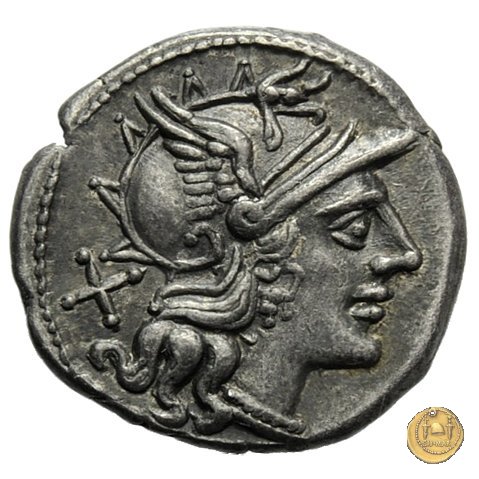 206/1 - denario Spurius Afranius 150 BC (Roma)