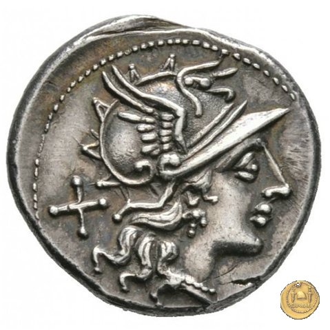 206/1 - denario Spurius Afranius 150 BC (Roma)