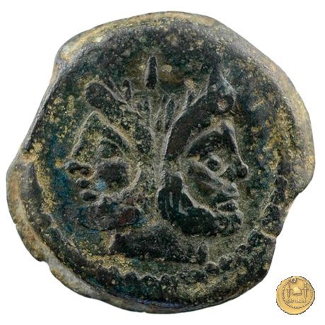 206/2 - asse Spurius Afranius 150 BC (Roma)