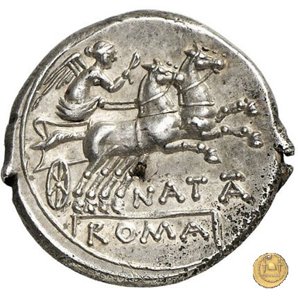 208/1 - denario Pinarius Natta 149 BC (Roma)