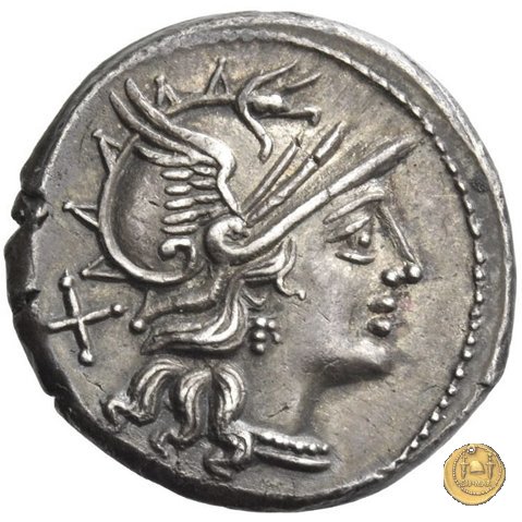 210/1 - denario C. Iunius C.f. 149 BC (Roma)