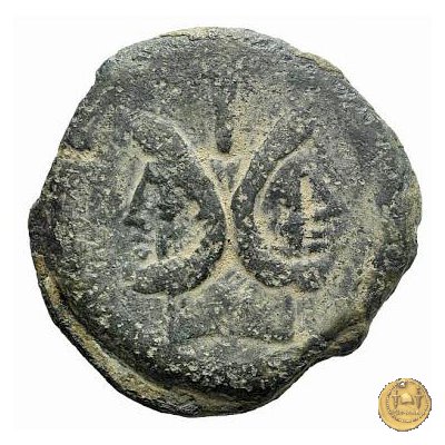 210/2 - asse C. Iunius C.f. 149 BC (Roma)