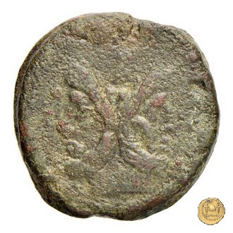 210/2 - asse C. Iunius C.f. 149 BC (Roma)