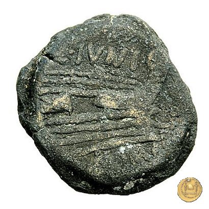 210/3 - semisse C. Iunius C.f. 149 BC (Roma)