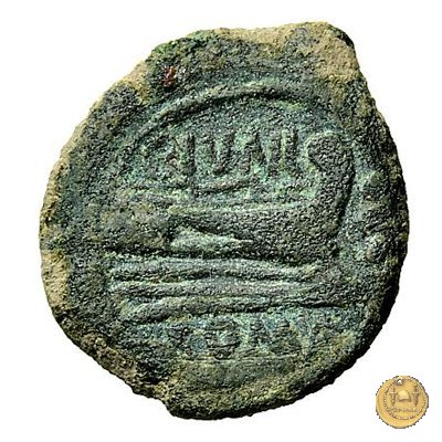 210/5 - quadrante C. Iunius C.f. 149 BC (Roma)