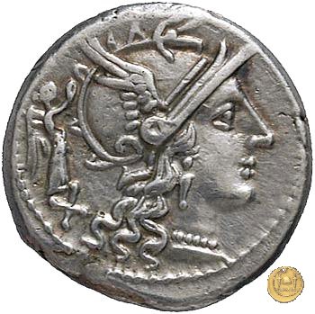 217/1 - denario C. Terentius Lucanus 147 BC (Roma)