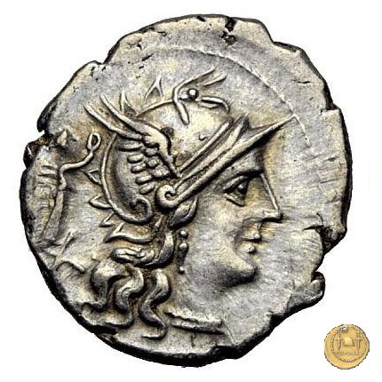 217/1 - denario C. Terentius Lucanus 147 BC (Roma)