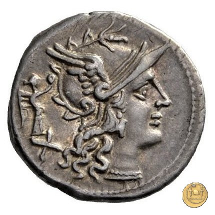 217/1 - denario C. Terentius Lucanus 147 BC (Roma)