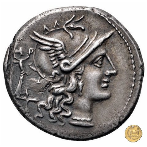 217/1 - denario C. Terentius Lucanus 147 BC (Roma)