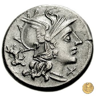 219/1 - denario C. Antestius 146 BC (Roma)