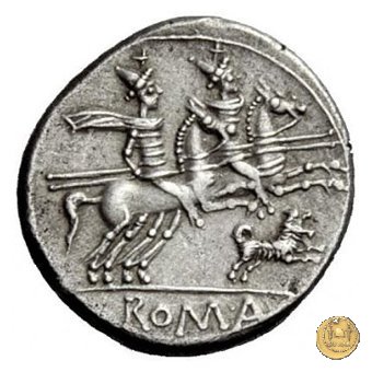 219/1 - denario C. Antestius 146 BC (Roma)