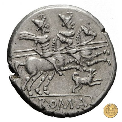 219/1 - denario C. Antestius 146 BC (Roma)