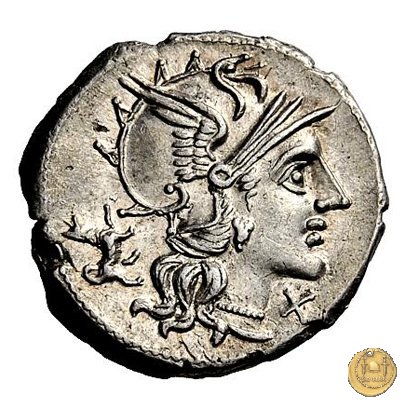 219/1 - denario C. Antestius 146 BC (Roma)