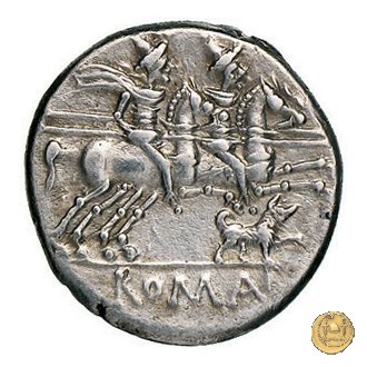 219/1 - denario C. Antestius 146 BC (Roma)