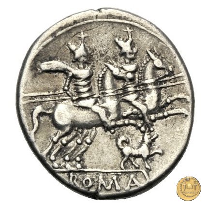 219/1 - denario C. Antestius 146 BC (Roma)