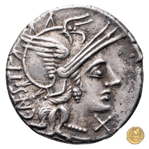 219/1 - denario C. Antestius 146 BC (Roma)