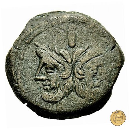 219/2 - asse C. Antestius 146 BC (Roma)
