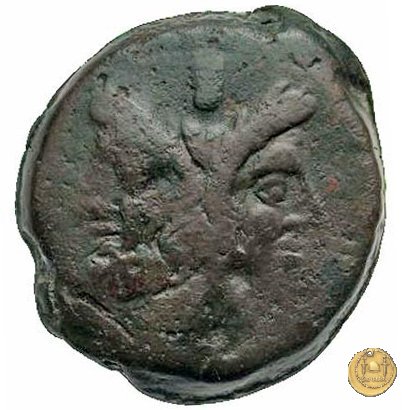 219/2 - asse C. Antestius 146 BC (Roma)