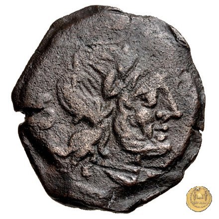 219/3 - semisse C. Antestius 146 BC (Roma)