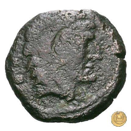 219/5 - quadrante C. Antestius 146 BC (Roma)