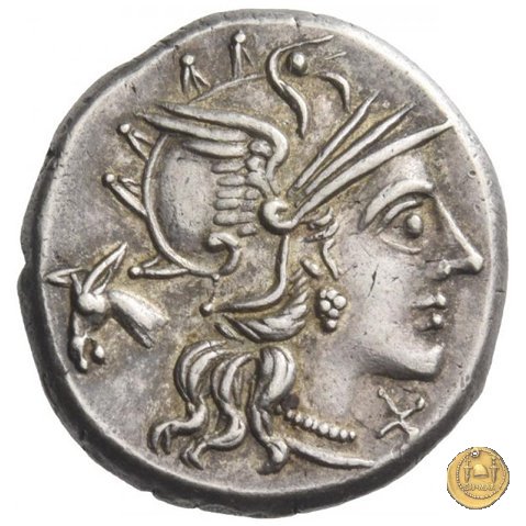 220/1 - denario M. Iunius Silanus 145 BC (Roma)