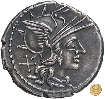 221/1 - denario T. Annius Rufus 144 BC (Roma)