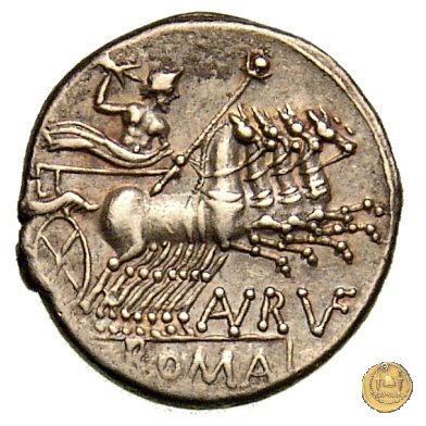 221/1 - denario T. Annius Rufus 144 BC (Roma)